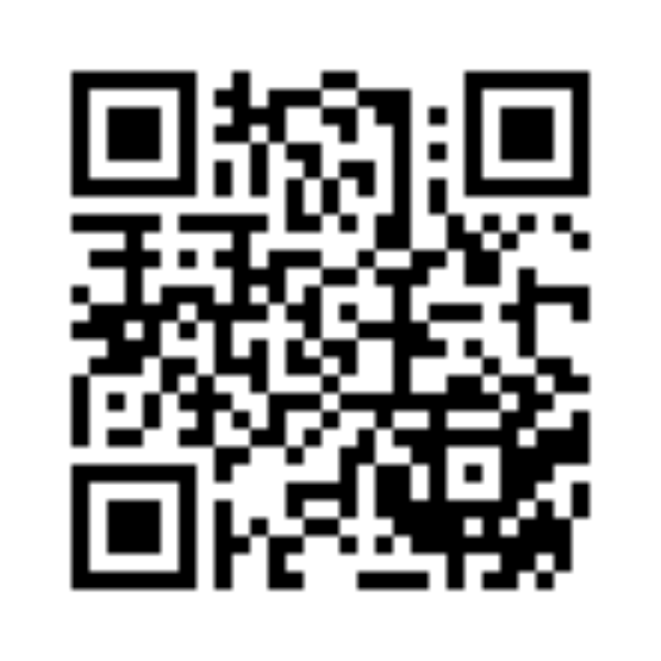 CALCULATRICE IBICO 210X