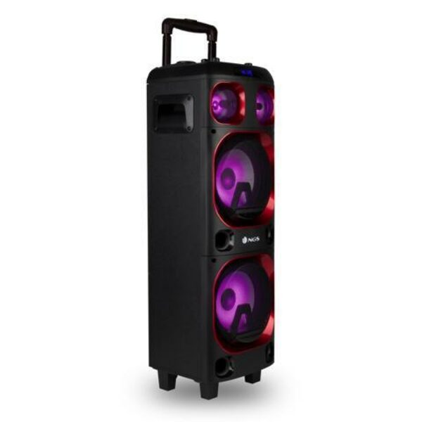 ENCEINTE NGS WILDSKA1 300W
