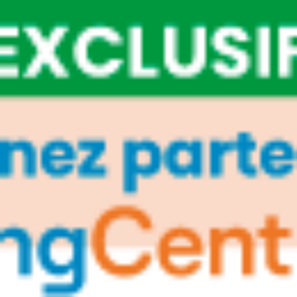 BATTERIE POWERBANK 10000 MAH USB-C WEBATT1000