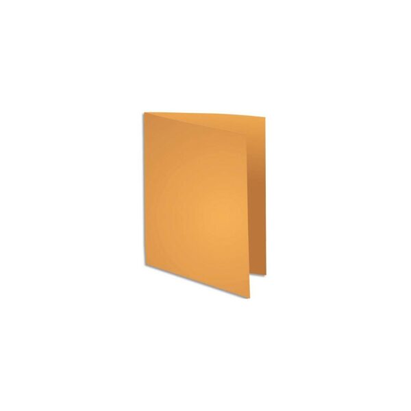 S/CHEM ROCK’S 80G OCRE EXA PQT 100 800026E