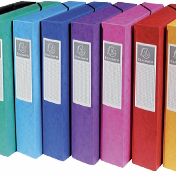 BTE DE CLASSEMENT BOX CARTE LUSTREE D/60 ASSORTIES EXA