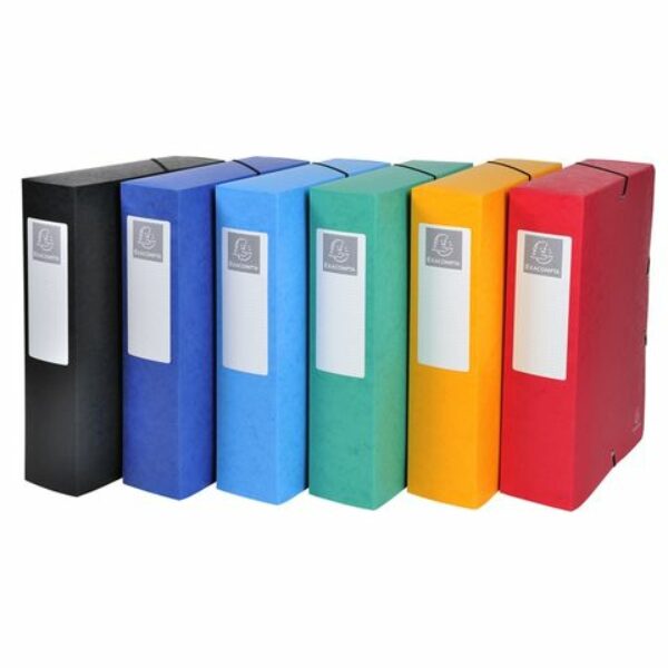 BTE DE CLASSEMENT BOX CARTE LUSTREE D/80 ASSORTIES EXA