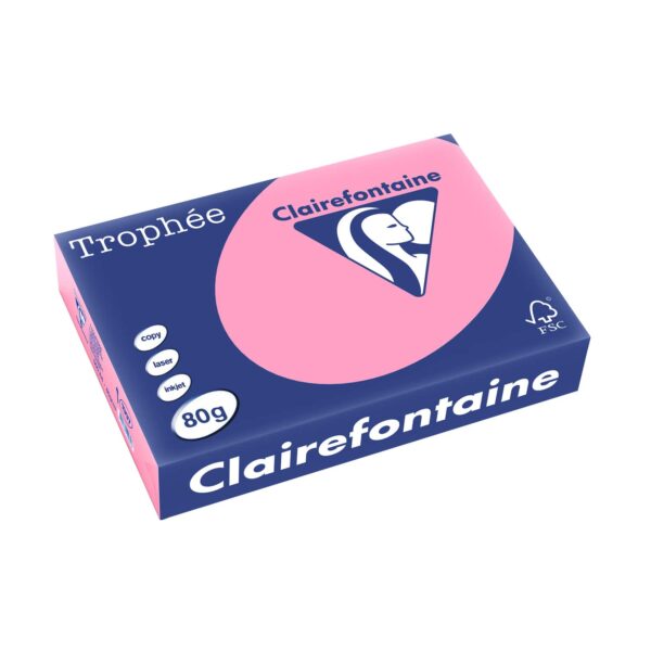 RAMETTE A4 ROSE CLAIR 80G