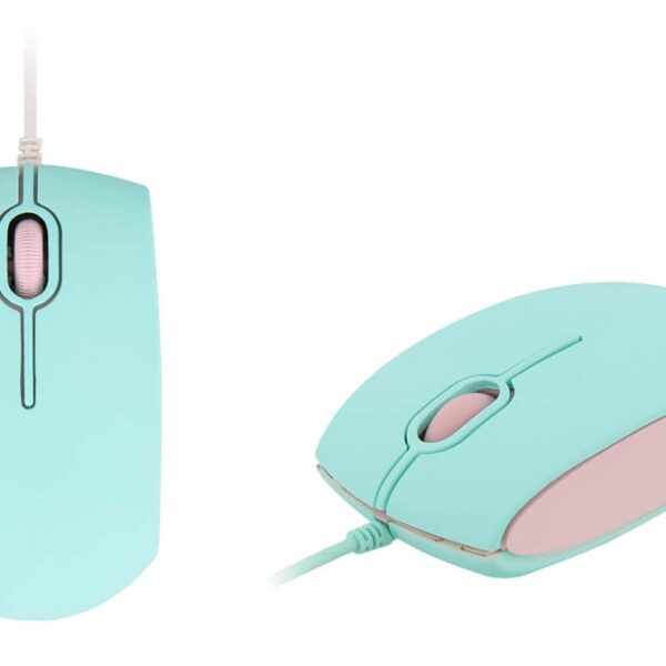 SOURIS TNB RAINBOW TURQ/ROSE MRAINTQPK